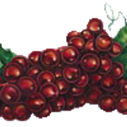 107