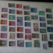 IMG-6907