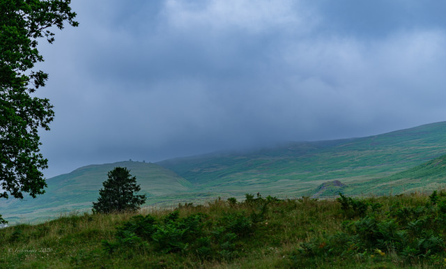 DSF6304.jpg