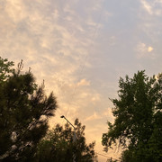 IMG 0380