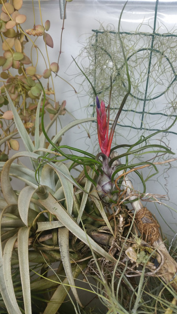 20190326-080449