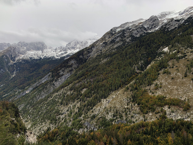 IMG-0233
