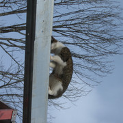 IMG-1286