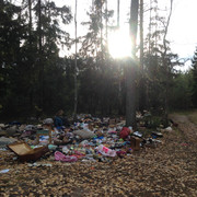 IMG-4386