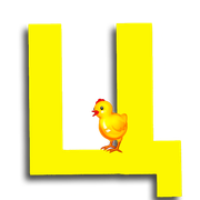 24-555938