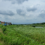 P1330155