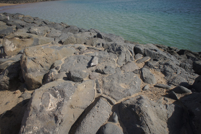 DSC01029