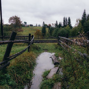 IPB Image