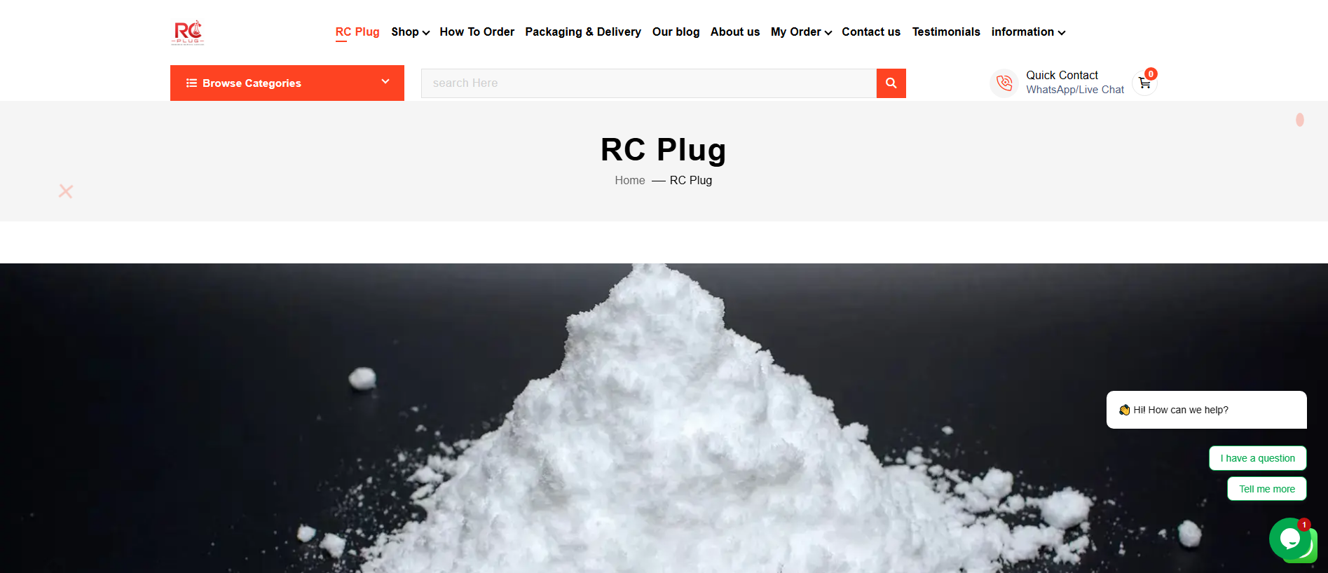 Stored capture of rcplug.org