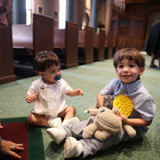 IMG 8491