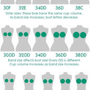 Band-Bust-Size