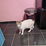 IMG 20260412 034348