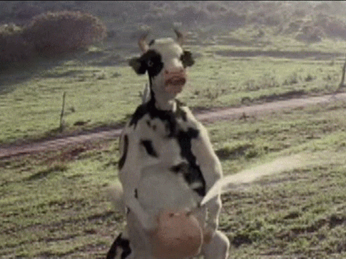 Cow-squirting-milk-anigif-thread-8990125.gif