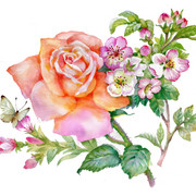 shutterstock 1659580321