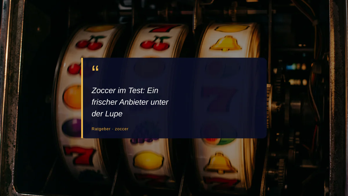 Zoccer im Test: Ein frischer Anbieter unter der Lupe
