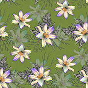 ebed3af75b22520c8d0cdfbc7fe110e2