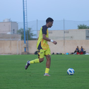 IMG 7231