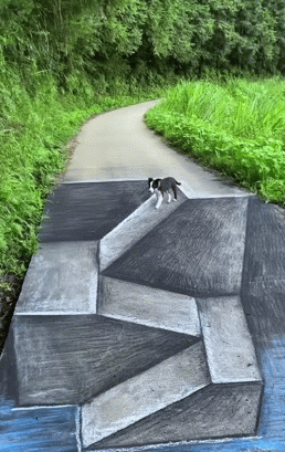 IMG-1566.gif