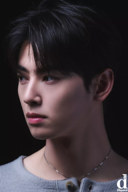 cha eun woo 1252856