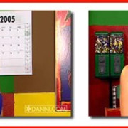 Video Info 001 Erica s Resolution