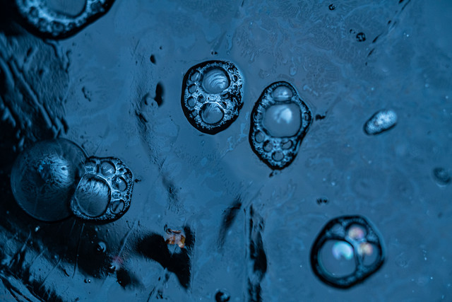 L1030295