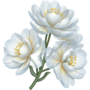emojis com translucent flowers