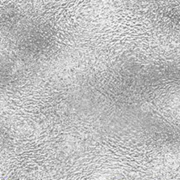 FLAGPOLE