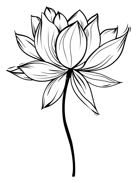 5e768e7ddd56ea048de9474a3d8a112b.png
