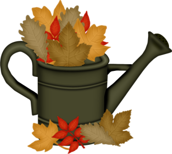 z2695f033.png