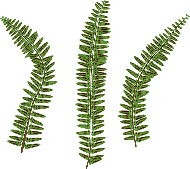 shutterstock 765207229.jpg