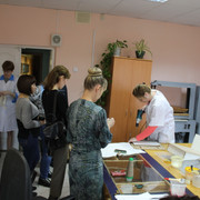 IMG-6041