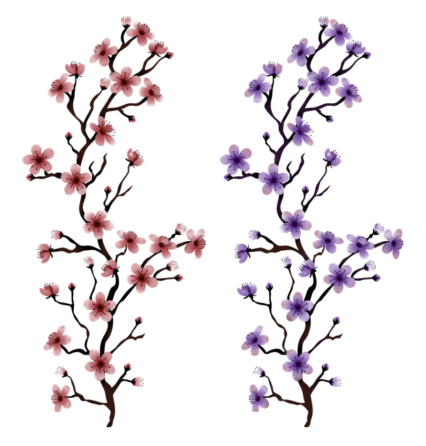 02.png