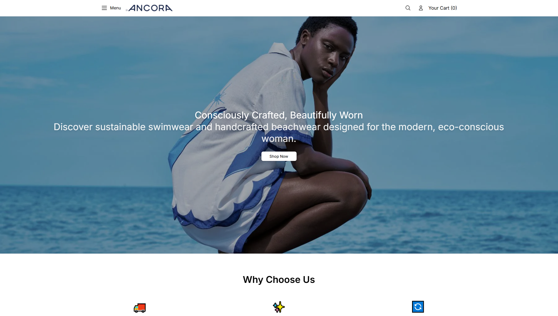 Stored capture of ancorahq.shop