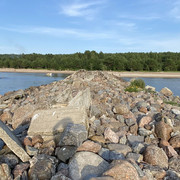 IMG-2731