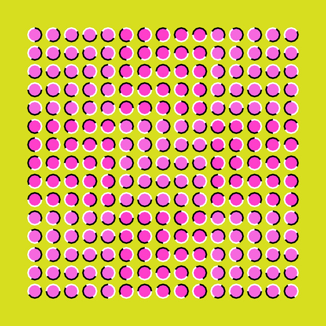 optical-illusion-brain