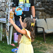Pic 244