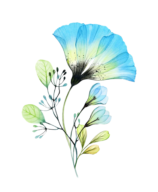b24f66ab51a9bccc7d18e905d9ccee83.png