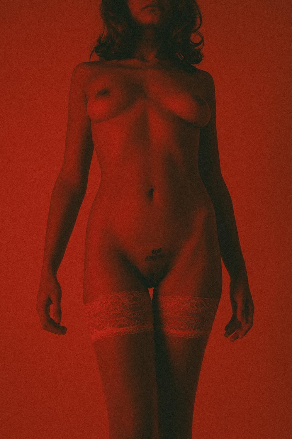 https://i.ibb.co/F4WZ5x42/bud2.jpg