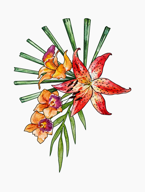 shutterstock 1997699273.jpg