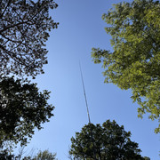 IMG 3456