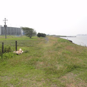 2011-07-04-04
