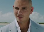 pitbulltimber.jpg