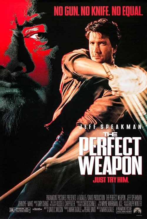 Niezawodna Obrona / The Perfect Weapon (1991) 1080p.WEB-DL.H264.AC3.2.0.BP007 | Lektor PL