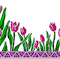 ed5d86de5b54