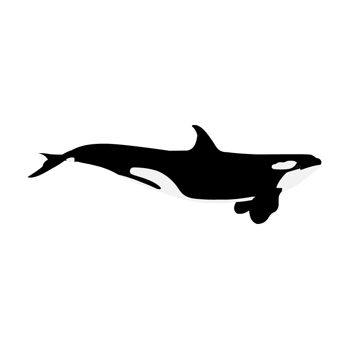 [Image: goahead-logo.png]