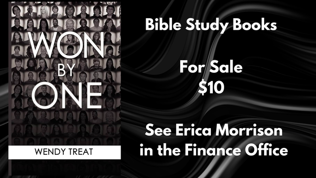 Bible-Study-Books