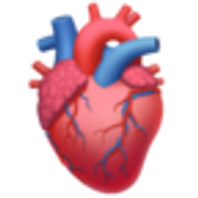anatomical-heart-1fac0