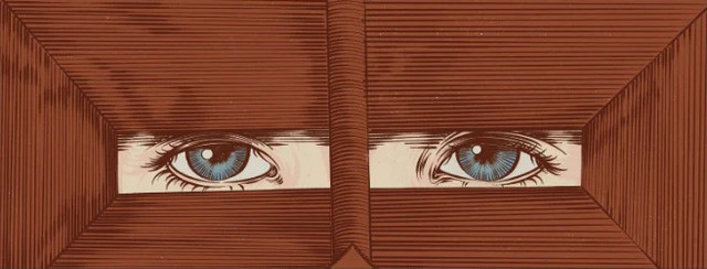 The Fall Rigid 2D Custom