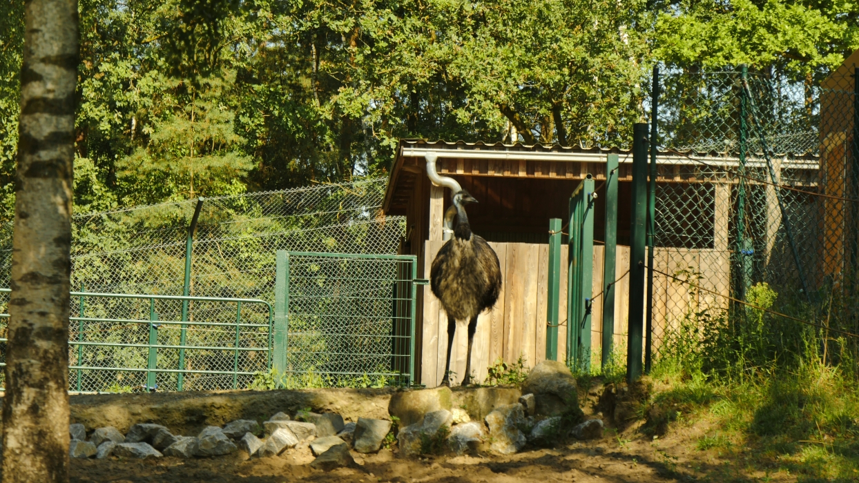 Serengeti-Park / Серенгети-Парк и кусочек Касселя