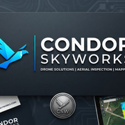 CondorSkyworks Logo